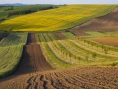 Особливості поділу земельних ділянок: що варто знати