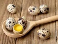 Какие яйца более полезны: куриные или перепелиные