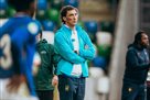 Михайленко: Є великий позитив у тому, що Україна вийшла у фінальну частину чемпіонату світу