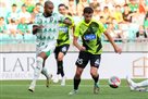 Polissia – Olimpia Ljubljana: bookmakers’ forecast for the Conference League qualifying match