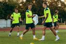 Ukraine - Albania: bookmakers  forecast for the National League match