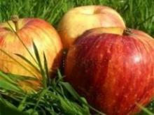 How to lose weight without harming your health: the secrets of lasting results
