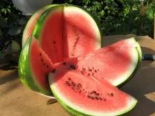 Как продукты помогают в борьбе с лишним весом