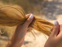 How to cure dry and thin hair: use berry