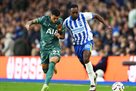 Tottenham gave up on Brighton, wasting a two-goal advantage