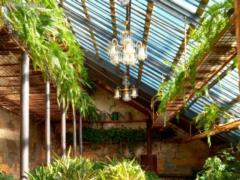 The ancient Greenhouse has been renovated!