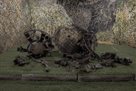 Війна, день 1022. рф може знову застосувати ракету  Орешник  уже  найближчими днями  — розвідка США