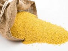 Пшоно: корисні властивості та вплив на організм