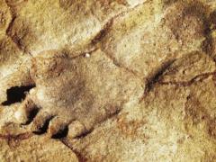 115,000 years old: archaeologists have found traces of people where they shouldn t be