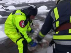 На Закарпатье автомобиль слетел в реку, есть жертва