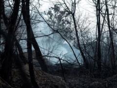 The occupiers damaged a number of positions of the Ukrainian Armed Forces in Belogorovka