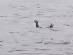 Resourceful alligators  lure people to their deaths  by imitating drowning people