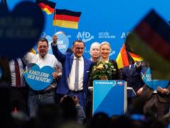 AfD в своем манифесте отказалась осудить агрессию РФ против Украины