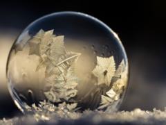Horoscope for zodiac signs for January 15, 2025