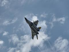 The Air Force has denied the transfer of scarce specialists to the infantry