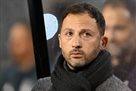 Бельгія може змінити Тедеско перед матчами з Україною