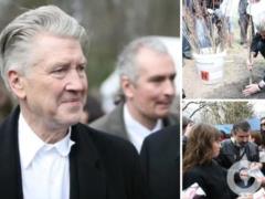 Сажал деревья в Боярке до того, как это стало мейнстримом: что известно о поддержке Украины Дэвидом Линчем.