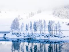 What holiday is celebrated on January 17: events of this day