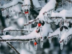 What holiday is celebrated on January 18: calendar of events