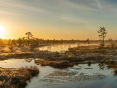 There is a new warming in Ukraine: the weather forecaster named the dates