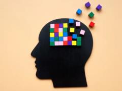 How our memory works: secrets of memorization