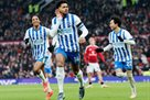 Manchester United sacrificed Brighton on their own field