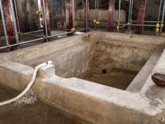 A unique house has been discovered in Pompeii: how the richest people lived in the ancient Roman city
