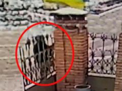 У Білій Церкві невідомий зламав прапор України та кинув його на землю: з явилося відео