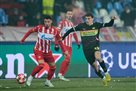 The sideline of PSV did not help Crvena Zvezda survive the defeat