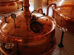 Beer production has increased in Ukraine