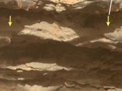 Марсоход NASA обнаружил доказательства наличия жидкой воды на поверхности Марса
