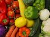 The influence of the diet of ancestors on the health of descendants