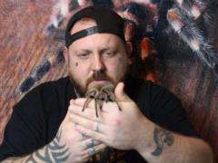 “They live in the same room”: a man keeps more than 1000 exotic spiders in his house