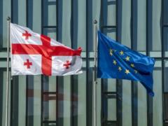 EU ambassadors agreed on the suspension of a visa -free regime for officials and diplomats in Georgia