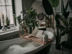 A man showed a houseplant that destroys fungus in the bathroom