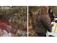 In the Kyiv region, water in the reclamation channel has become pink