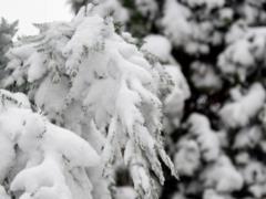Weather forecast for February 2025: temperature and precipitation in Ukraine