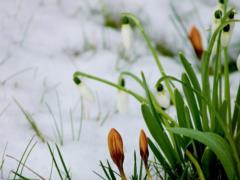 The peak of heat is expected in Ukraine: the weather forecaster clarified the forecast and told when it would become colder