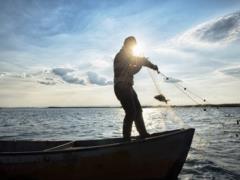 For the first time, funds for industrial fishing for fish were first entered the state budget