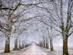 There is a cooling in Ukraine: when to wait for it