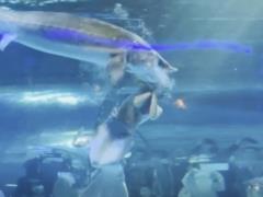 A giant fish attacked a mermaid from Russia in a Chinese aquarium