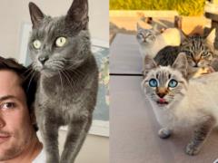 The man could not drive 17 cats from his site and now lives with them