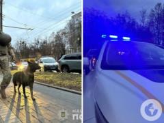 In Rivne near the TCC building, there was an explosion, there are victims and deceased: all details