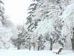 February in Ukraine began with a cooling: a weather forecaster said if there is a probability of reinforcing frosts. Map