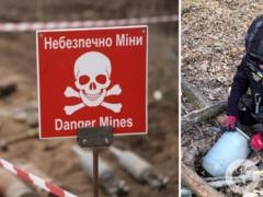 In the Kyiv region, the forester found the fighting unit   Details and photos