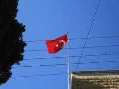 Turkiye will accept 15 Palestinians freed from prisons of Israel