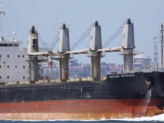 Egypt for the first time bought wheat stolen in Ukraine: the Russian Federation delivered grains by $ 7 million - investigation