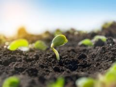 Japan will introduce nanopuses in the soils of Ukraine