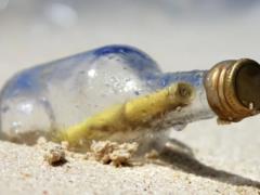 Two brothers abandoned: a message in a bottle in the sea was found two years later