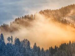 Heavy snowfalls or rains: the weather forecaster told what to expect from the weather to the end of February
